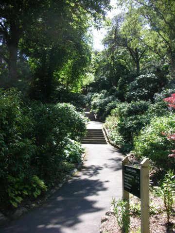 newzealandwellingtonbotanicgarden29.jpg