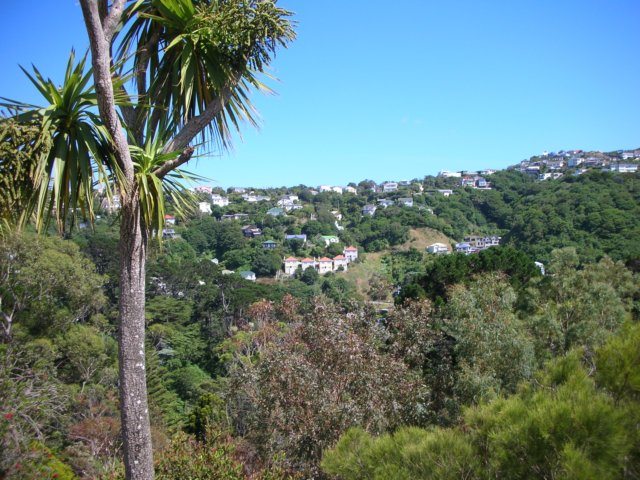 newzealandwellingtonbotanicgarden3.jpg