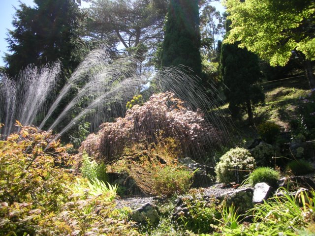 newzealandwellingtonbotanicgarden47.jpg