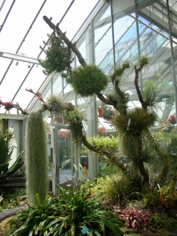 newzealandwellingtonbotanicgarden56.jpg