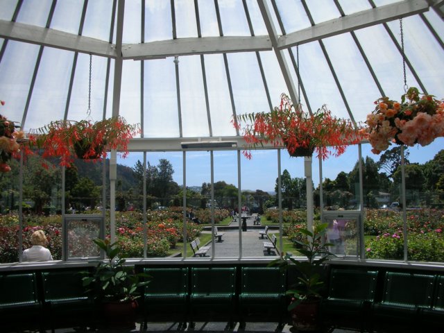 newzealandwellingtonbotanicgarden57.jpg