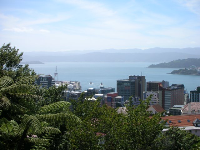 newzealandwellingtonbotanicgarden6.jpg