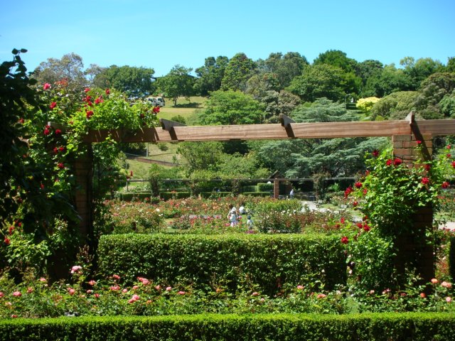 newzealandwellingtonbotanicgarden67.jpg