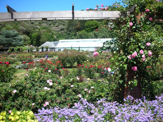 newzealandwellingtonbotanicgarden68.jpg