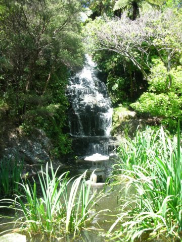 newzealandwellingtonbotanicgarden69.jpg