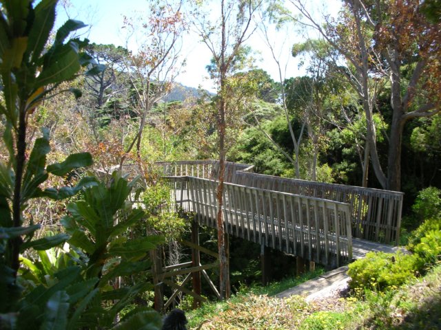 newzealandwellingtonbotanicgarden9.jpg