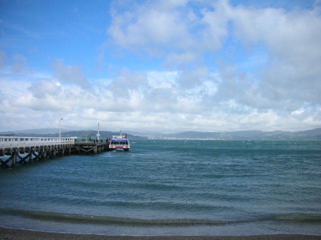 newzealandwellingtondaysbay.jpg