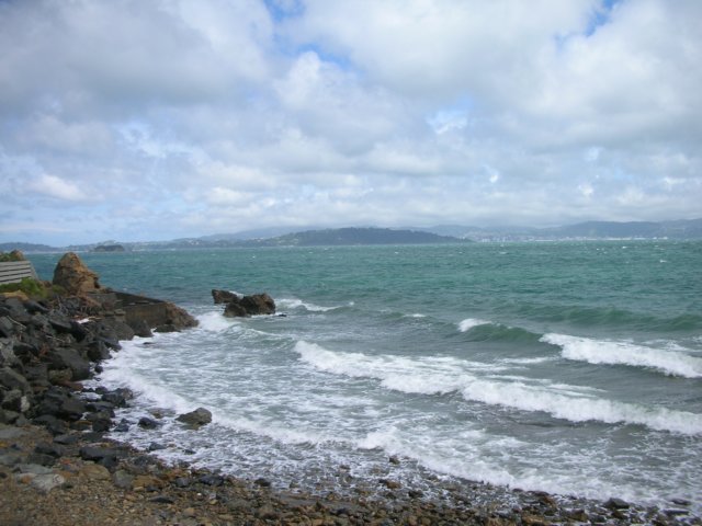 newzealandwellingtondaysbay4.jpg