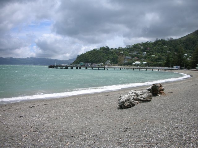 newzealandwellingtondaysbay5.jpg