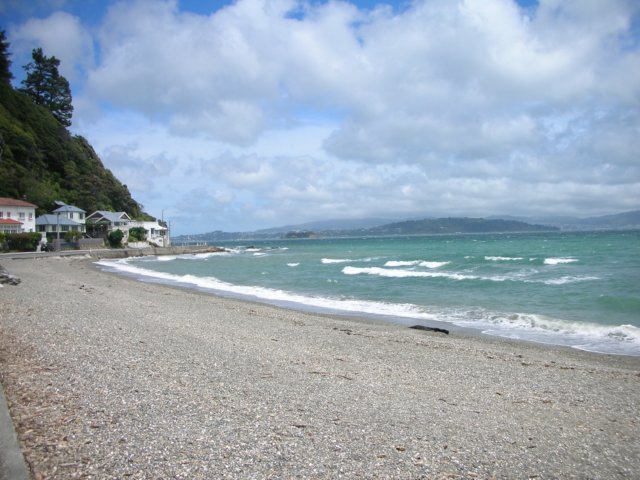 newzealandwellingtondaysbay6.jpg