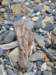 newzealandwellingtondaysbayeastbourne13_small.jpg
