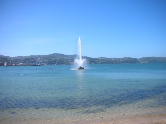 newzealandwellingtonorientalbaybeach2.jpg