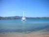 newzealandwellingtonorientalbaybeach2_small.jpg
