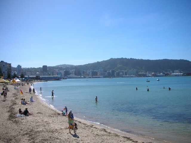 newzealandwellingtonorientalbaybeach3.jpg