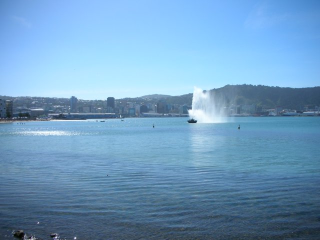 newzealandwellingtonorientalbaybeach4.jpg