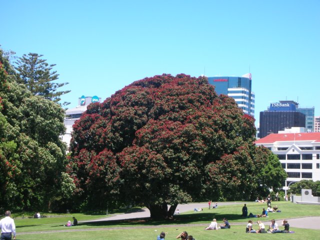 newzealandwellingtonparliamenthouse4.jpg