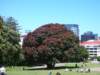 newzealandwellingtonparliamenthouse4_small.jpg