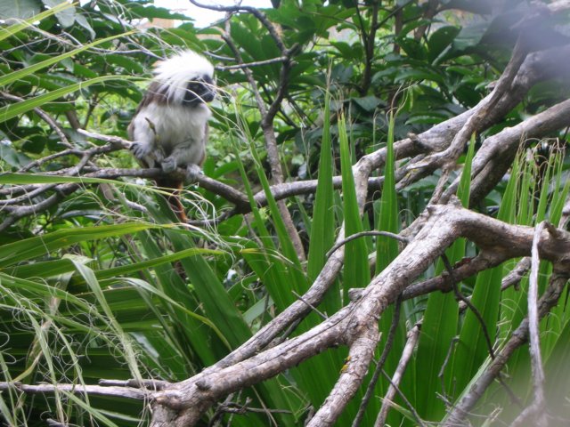 newzealandwellingtonzoo.jpg