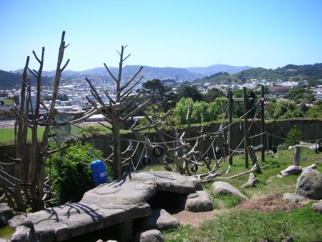 newzealandwellingtonzoo7.jpg