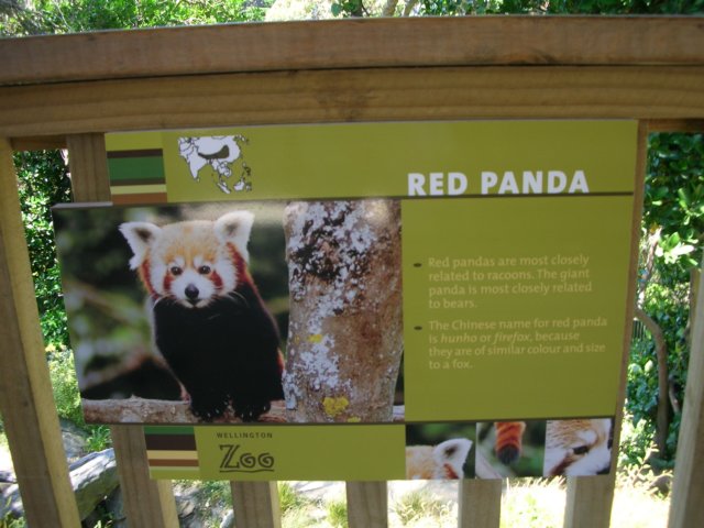 newzealandwellingtonzoo9.jpg