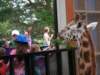 newzealandwellingtonzoogiraffe4_small.jpg