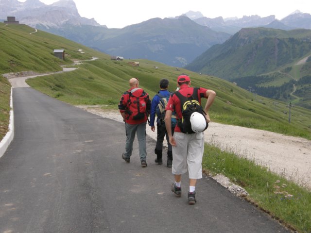 pizbo16.jpg