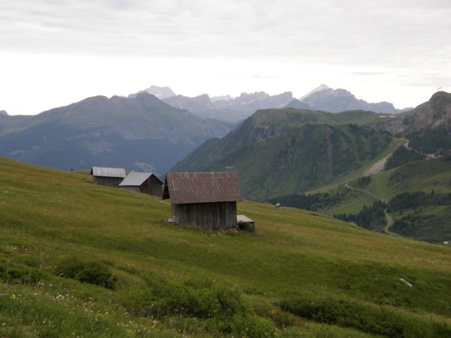 pizbo22.jpg