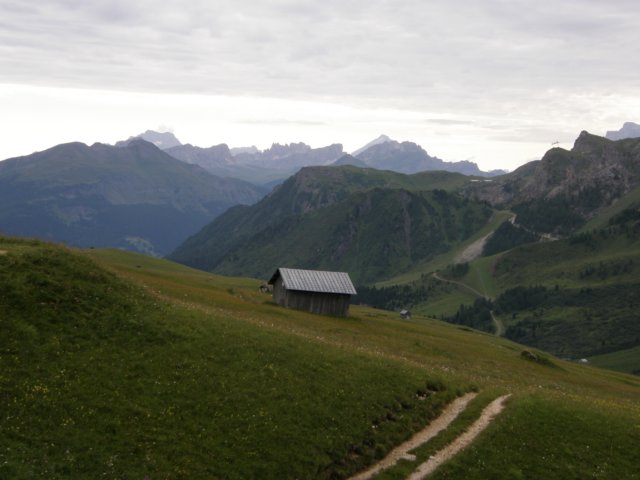 pizbo23.jpg