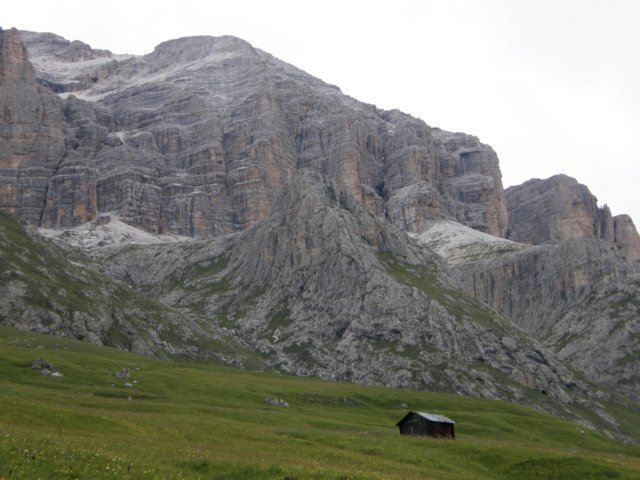 pizbo25.jpg