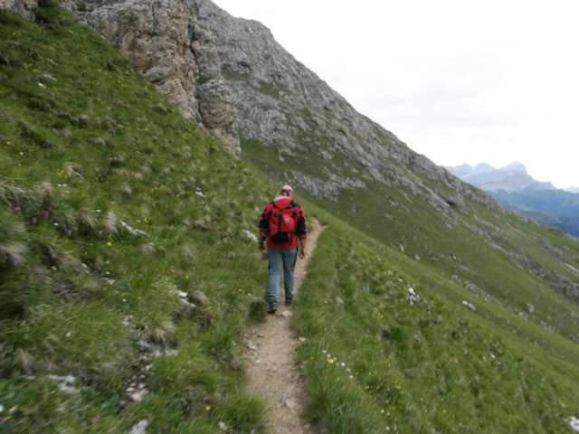 pizbo33.jpg