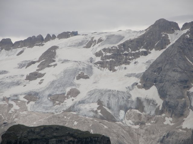 pizbo36.jpg