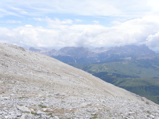pizbo91.jpg