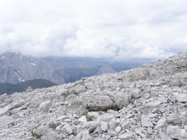 pizbo95.jpg