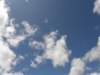 lagodiresia19070913_small.jpg