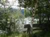 lagodiresia19070915_small.jpg