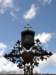 lagodiresia19070935_small.jpg