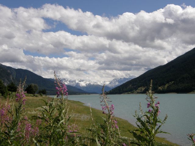 lagodiresia19070938.jpg