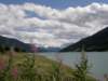 lagodiresia19070938_small.jpg