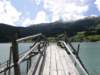 lagodiresia19070939_small.jpg