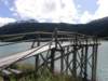 lagodiresia19070940_small.jpg