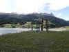 lagodiresia19070942_small.jpg