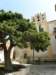 siciliaaug2009101_small.jpg