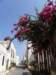 siciliaaug2009110_small.jpg