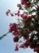 siciliaaug2009111_small.jpg