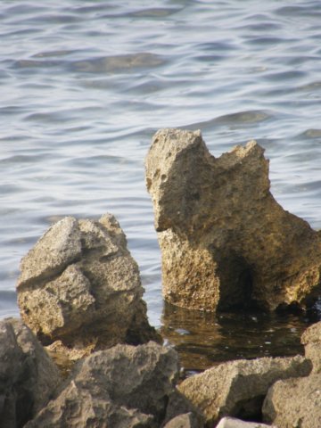 siciliaaug2009130.jpg