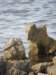 siciliaaug2009130_small.jpg