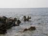 siciliaaug2009132_small.jpg