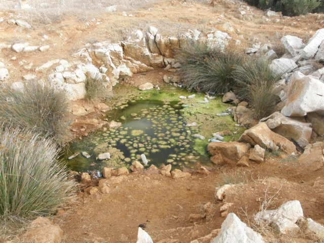 siciliaaug2009137.jpg