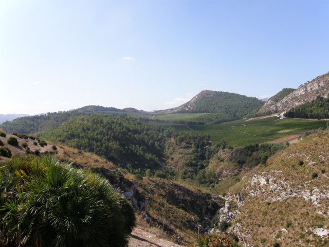 siciliaaug2009206.jpg