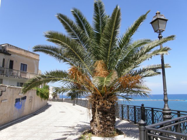 siciliaaug2009243.jpg